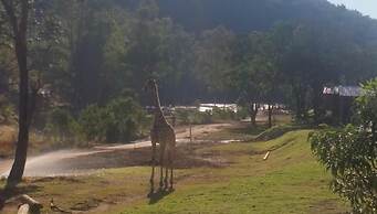 Ruah Park Camping & Outdoor