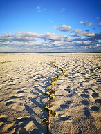Coral Beach Hotel and Condominiums