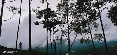 Lake View Camp