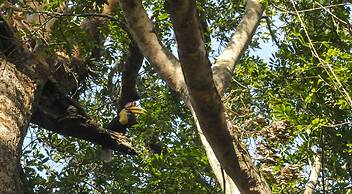 Tangkoko Sanctuary Villa & Spa