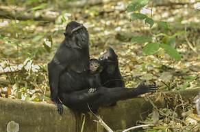 Tangkoko Sanctuary Villa & Spa