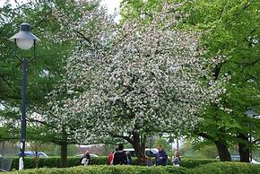 Landgasthof Pleister Mühle