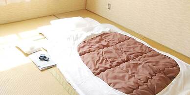 Business Ryokan Harada