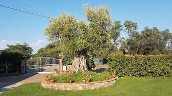 Casal Sant' Elena