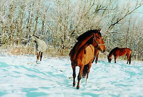 Seehotel am Neuklostersee
