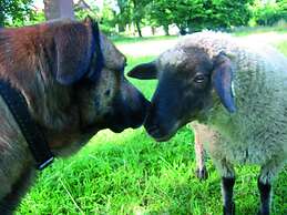 Seehotel am Neuklostersee