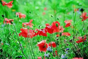 Seehotel am Neuklostersee