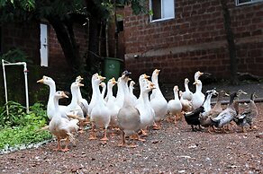 Forest Hills at Tala