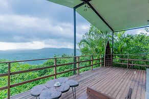 Forest Hills at Tala