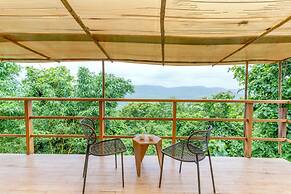 Forest Hills at Tala