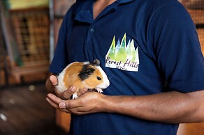 Forest Hills at Tala