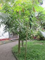 Dhanushka Guest House