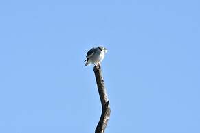 Explorer by Eco Team - Maduru Oya National Park