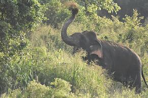 Explorer by Eco Team - Maduru Oya National Park