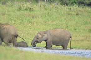 Explorer by Eco Team - Maduru Oya National Park