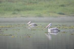 Explorer by Eco Team - Maduru Oya National Park