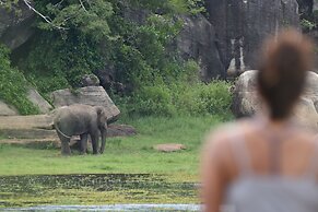 Explorer by Eco Team - Maduru Oya National Park