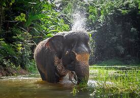 Thai Balinese 3BR Pool Villa Alex Rawai