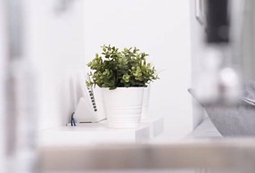 A Diamont with amazing view