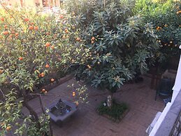 Orange Garden