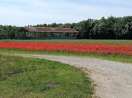 Agriturismo Ai Due Leoni