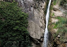 1477 Reichhalter Eat & Sleep