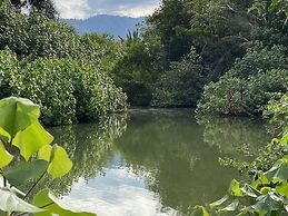 Uvita Oasis Retreat with Villa Cabins and Apartment