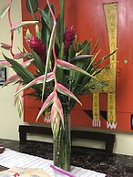 Sofia Apartments in Escalante, San Jose