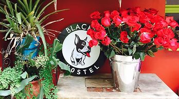 Blacky Hostel - Adults only