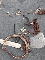 Camp Boutique- Glamping