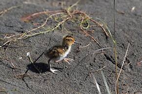 Camp Boutique- Glamping