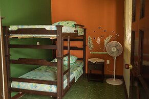 Caracol Casa Turística