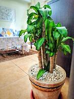 McKinley Park Residences