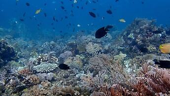Vivere Azure