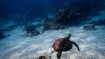 Vivere Azure