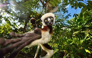 Andilana Beach Resort