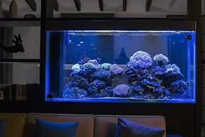 Follow the Cloud B&B