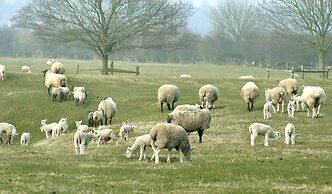 Carnately Lodge Ballycastle