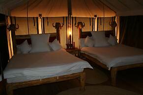 Roika Tarangire Tented Lodge