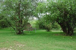 Roika Tarangire Tented Lodge