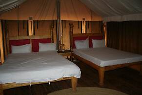 Roika Tarangire Tented Lodge