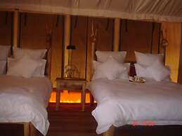 Roika Tarangire Tented Lodge
