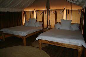 Roika Tarangire Tented Lodge