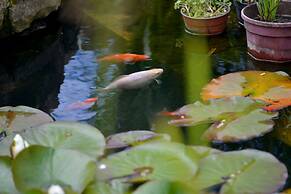 Dulrush Fishing Lodge and Guesthouse