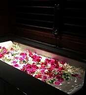 120 Rodionoff DOWNTOWN Hotel & Rooms - connection to Airport and Monde