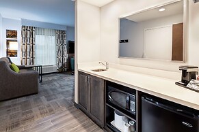 Hampton Inn & Suites Snellville Atlanta NE