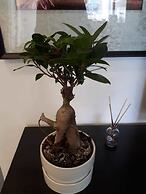 Republica83-Campo Pequeno Home