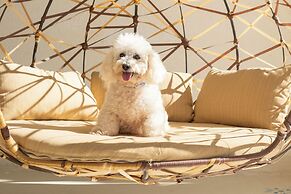 Mar del Cabo By Velas Resorts