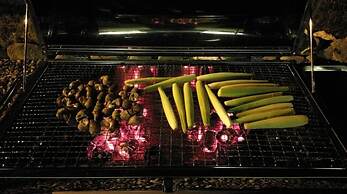 Recreation Garden B&B