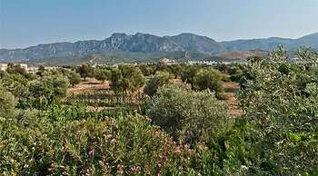 Bare Hill Holiday Village